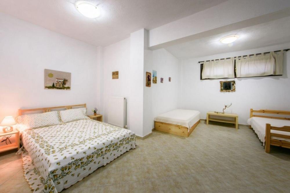 Katevi Luxury Seafront Villa Ιερισσός Εξωτερικό φωτογραφία